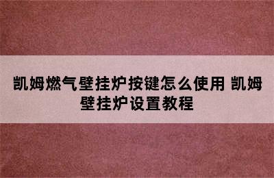 凯姆燃气壁挂炉按键怎么使用 凯姆壁挂炉设置教程